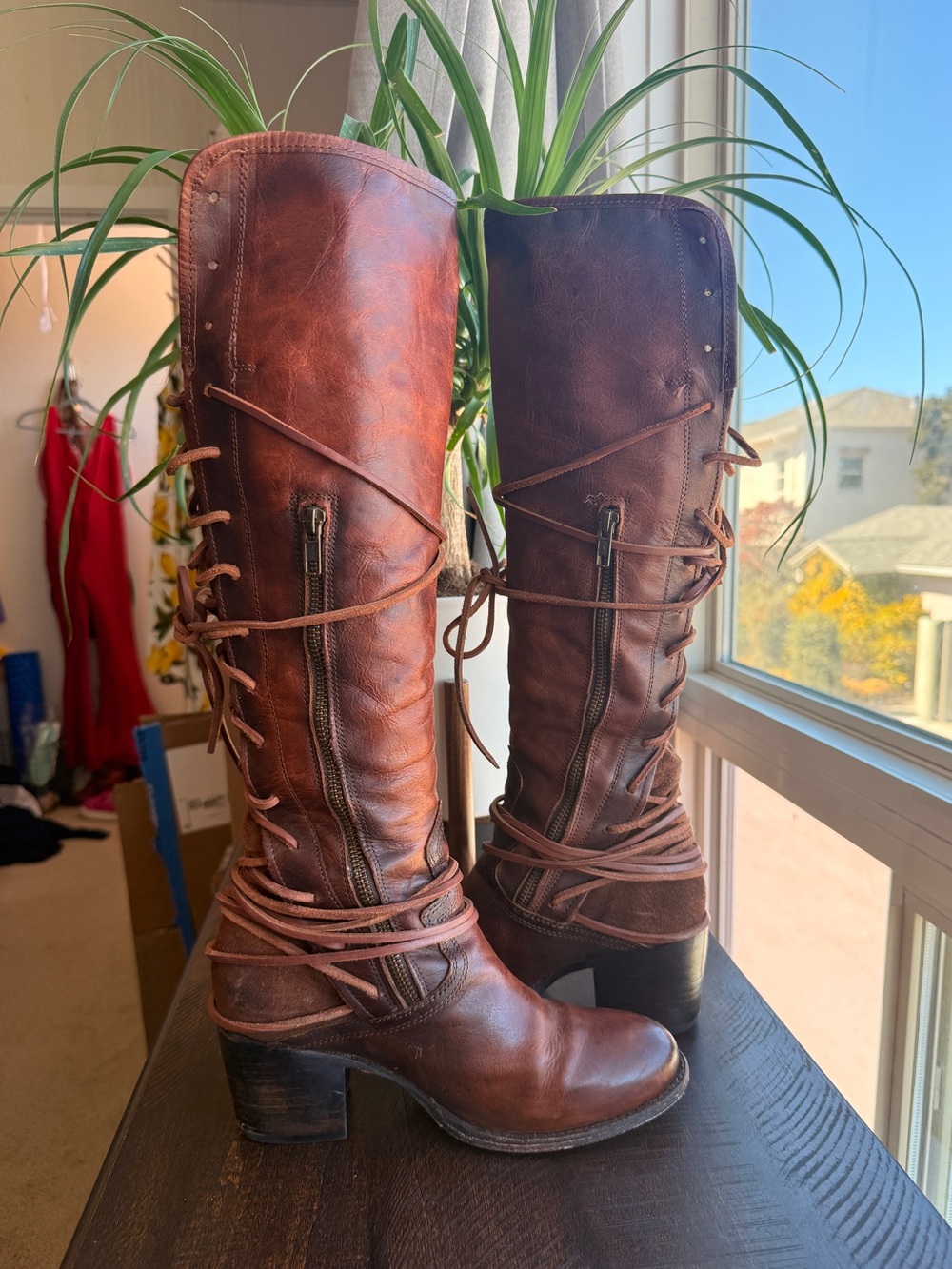 Freebird Cognac Coal Knee-High Brown Leather Lace-Up Back Boots 8